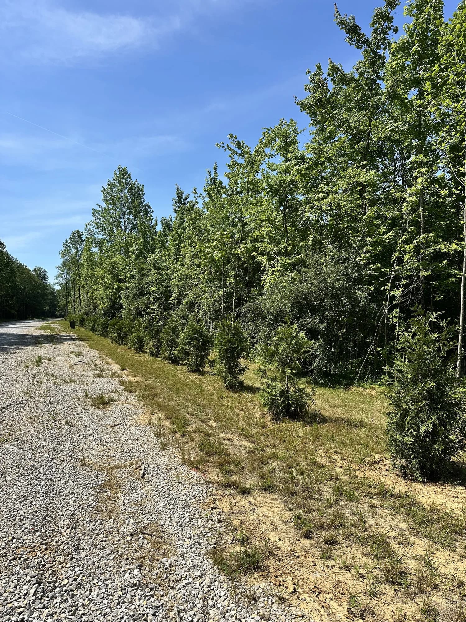 The tree-lined drive into the sanctuary grounds