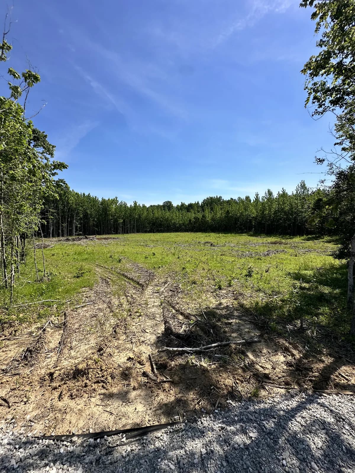 The cleared field for the equine therapy program