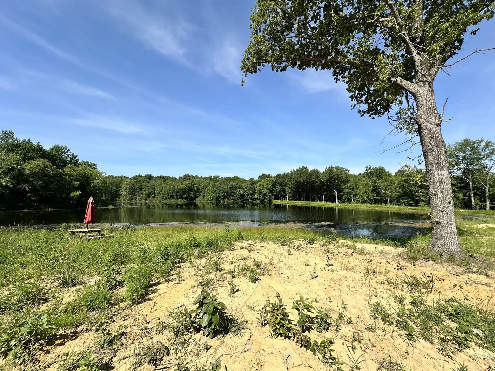 The four-acre lake on the grounds