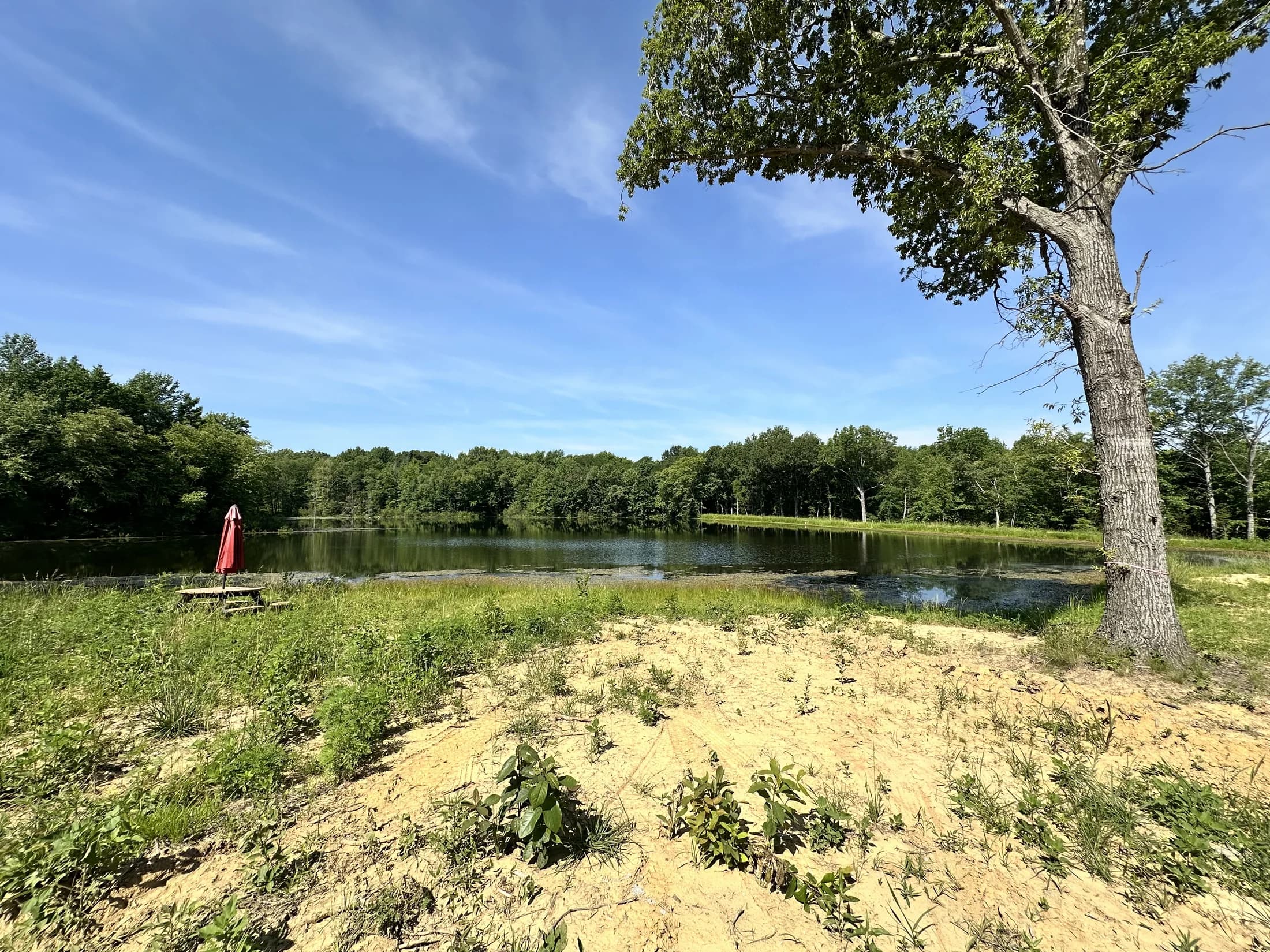 The four-acre lake on the sanctuary grounds, framed by trees