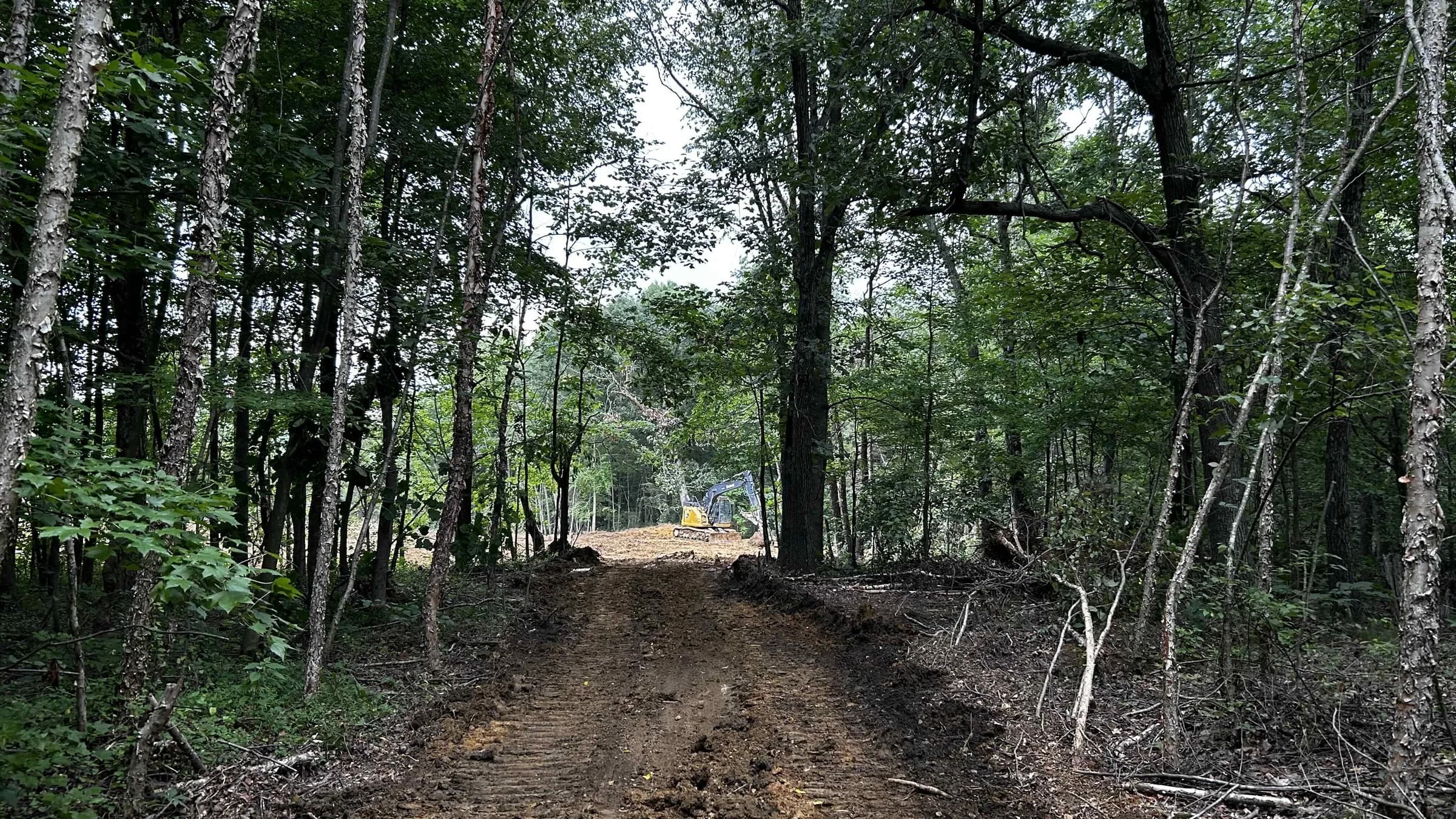The wooded property with a dirt access road, 2024